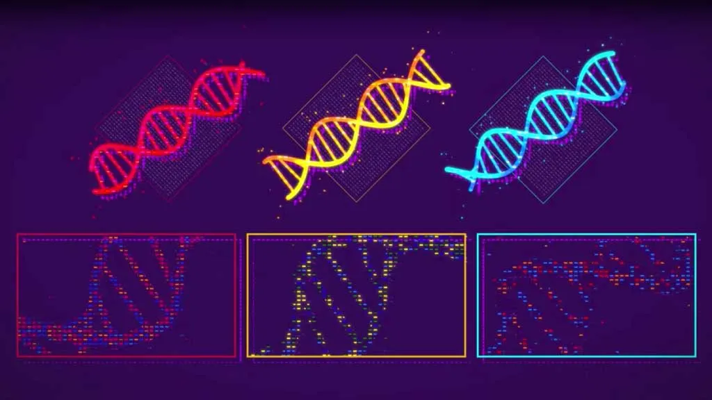 What we've been up to and what is coming for borderlands science